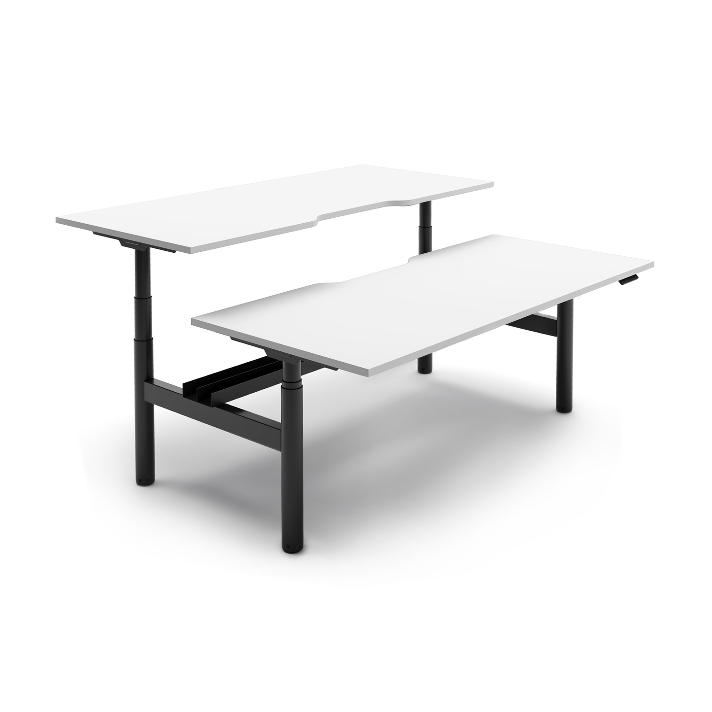 RISE back to back workstation