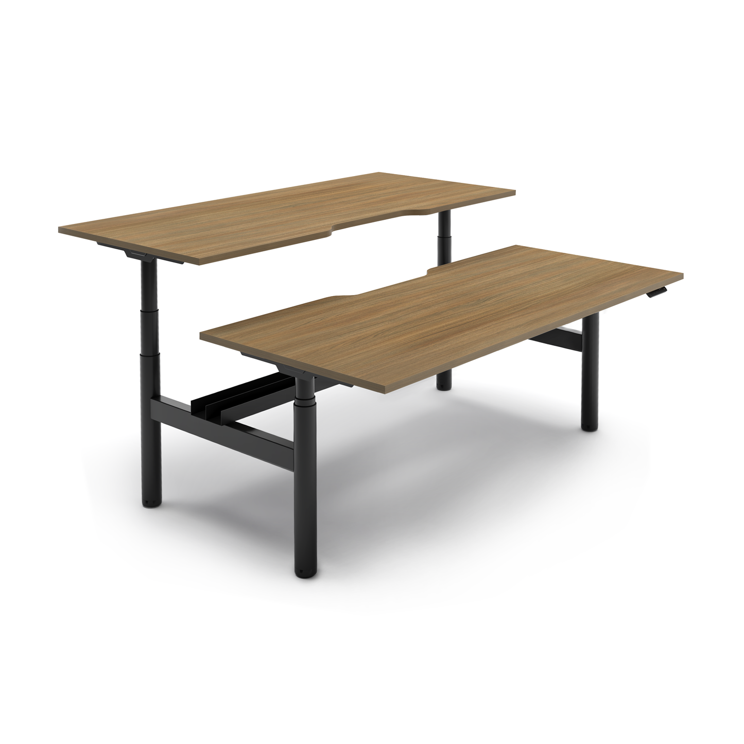 RISE back to back workstation