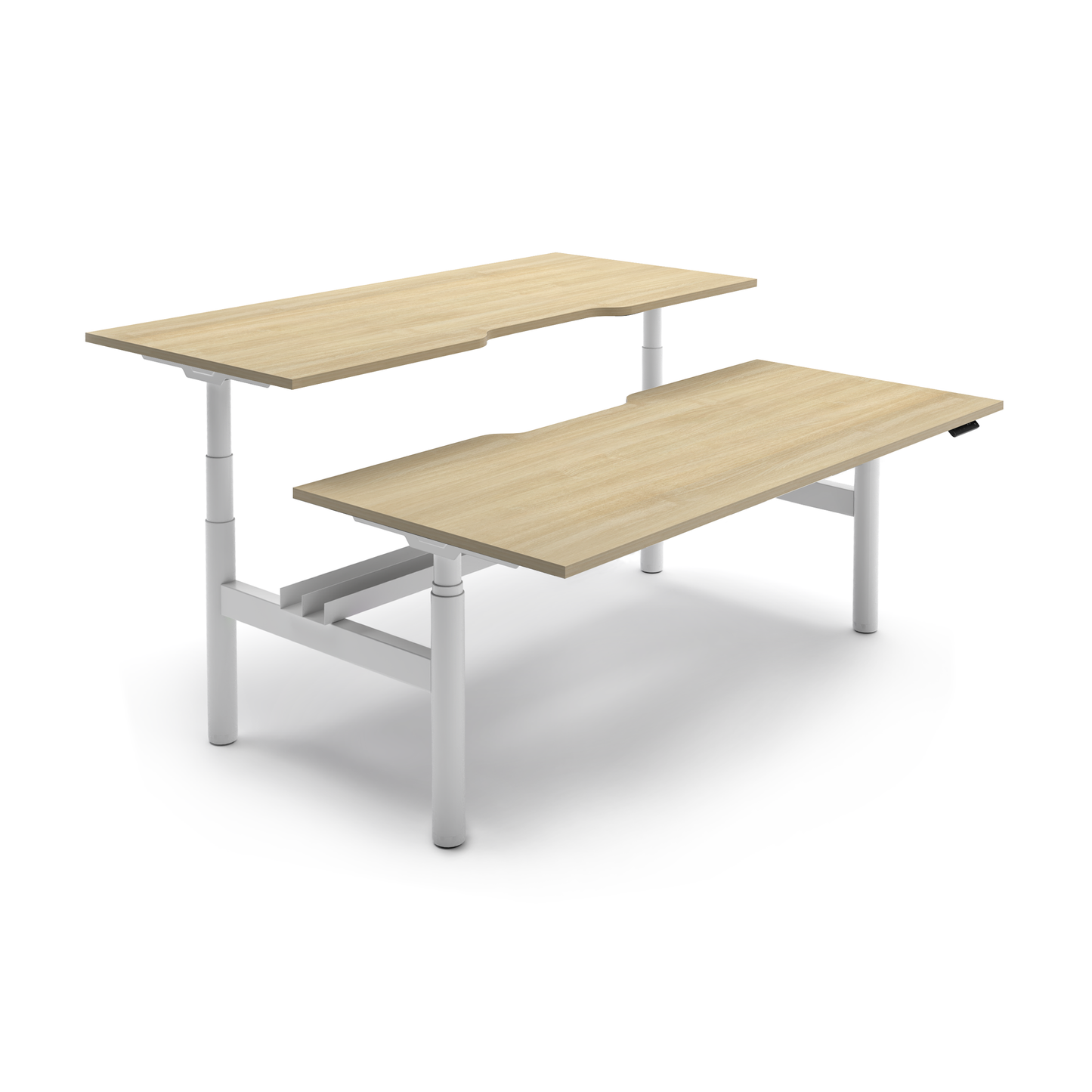 RISE back to back workstation