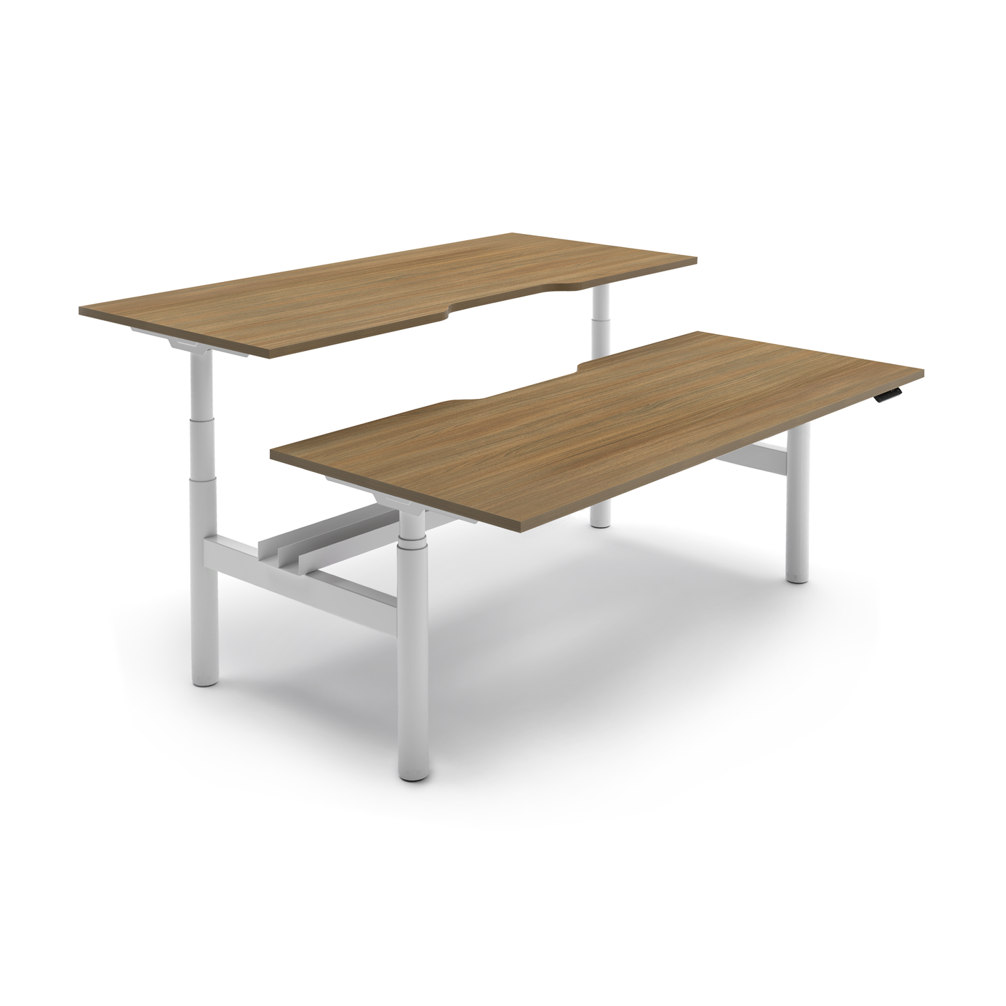 RISE back to back workstation